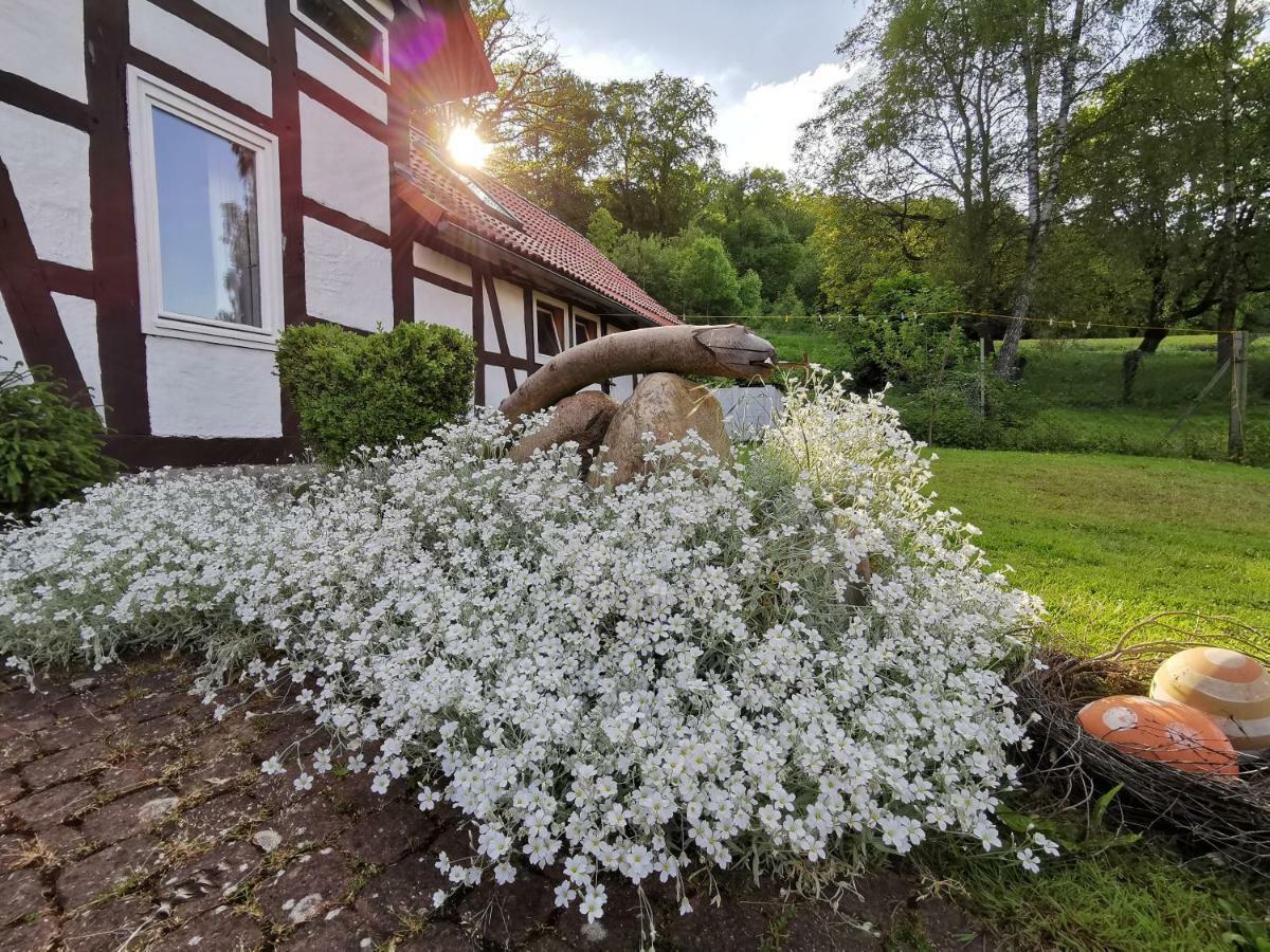 Ferienhof Ehlers Hulsede Esterno foto