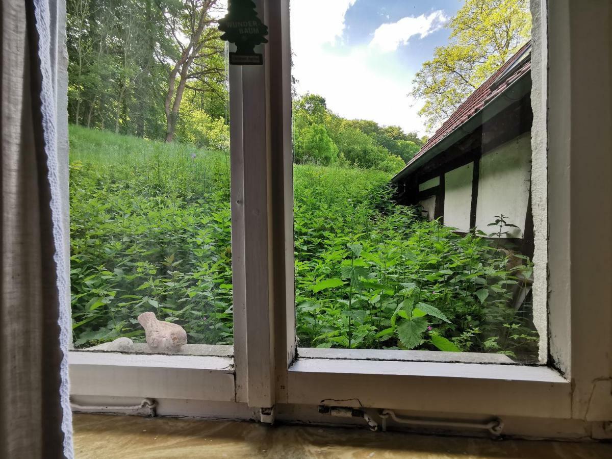 Ferienhof Ehlers Hulsede Esterno foto