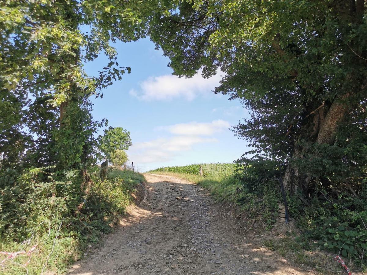 Ferienhof Ehlers Hulsede Esterno foto