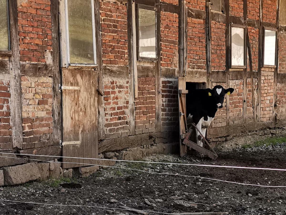 Ferienhof Ehlers Hulsede Esterno foto